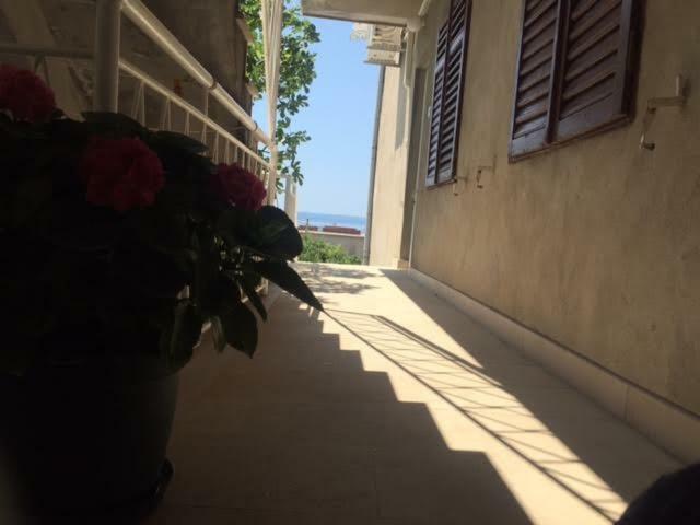 Apartament Pavlinovic Jure Makarska Zewnętrze zdjęcie
